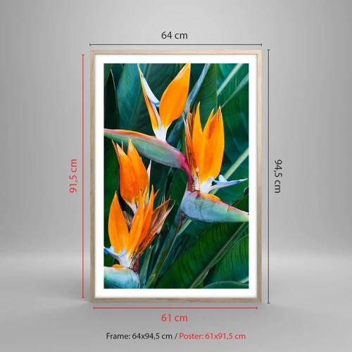 Póster en marco roble claro - ¿Es una flor o es un pájaro? - 61x91 cm