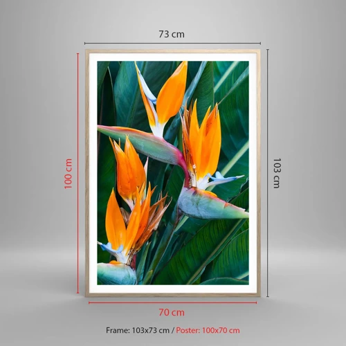 Póster en marco roble claro - ¿Es una flor o es un pájaro? - 70x100 cm