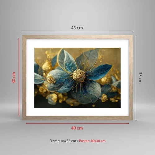 Póster en marco roble claro - Flor de oro - 40x30 cm