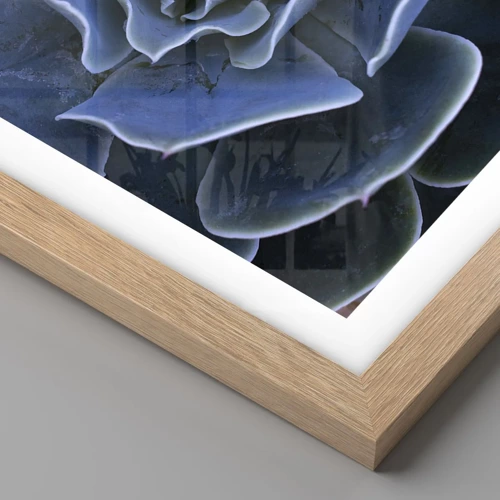 Póster en marco roble claro - Flor del desierto - 100x70 cm