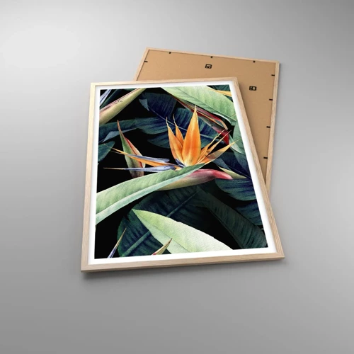 Póster en marco roble claro - Flores de llamas de los trópicos - 61x91 cm