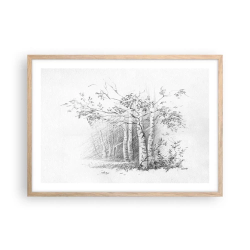 Póster en marco roble claro - La luz de un bosque de abedules - 70x50 cm