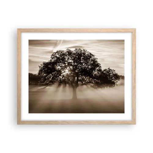 Póster en marco roble claro - Un árbol de buenas noticias  - 50x40 cm