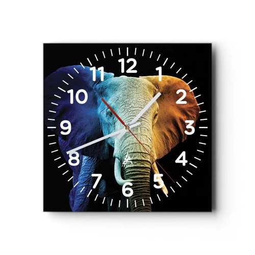 Reloj de pared - Reloj de vidrio - Excéntrico, no un bicho raro - 30x30 cm