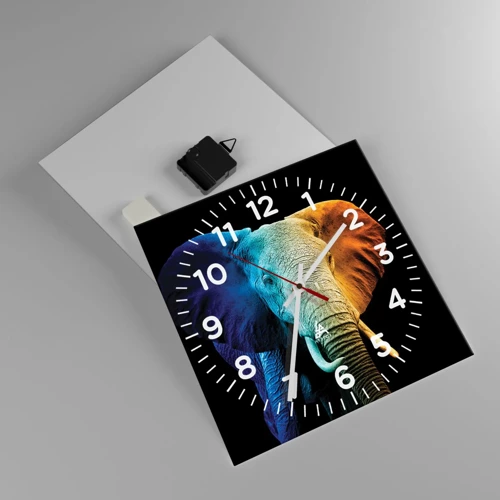 Reloj de pared - Reloj de vidrio - Excéntrico, no un bicho raro - 30x30 cm