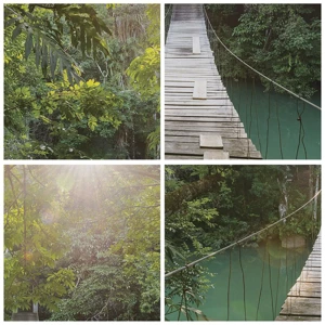 Cuadro sobre lienzo - Impresión de Imagen - Sobre el agua azul hacia el bosque - 160x50 cm