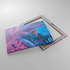 Cuadro sobre lienzo - Impresión de Imagen - Trópicos en rosa y azul - 70x50 cm