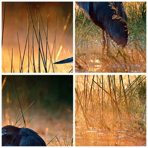 Cuadro sobre vidrio - Impresiones sobre Vidrio - Dame un respiro con estas fotos - 100x70 cm