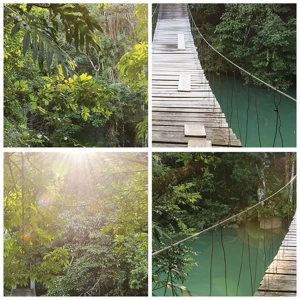 Cuadro sobre vidrio - Impresiones sobre Vidrio - Sobre el agua azul hacia el bosque - 160x50 cm